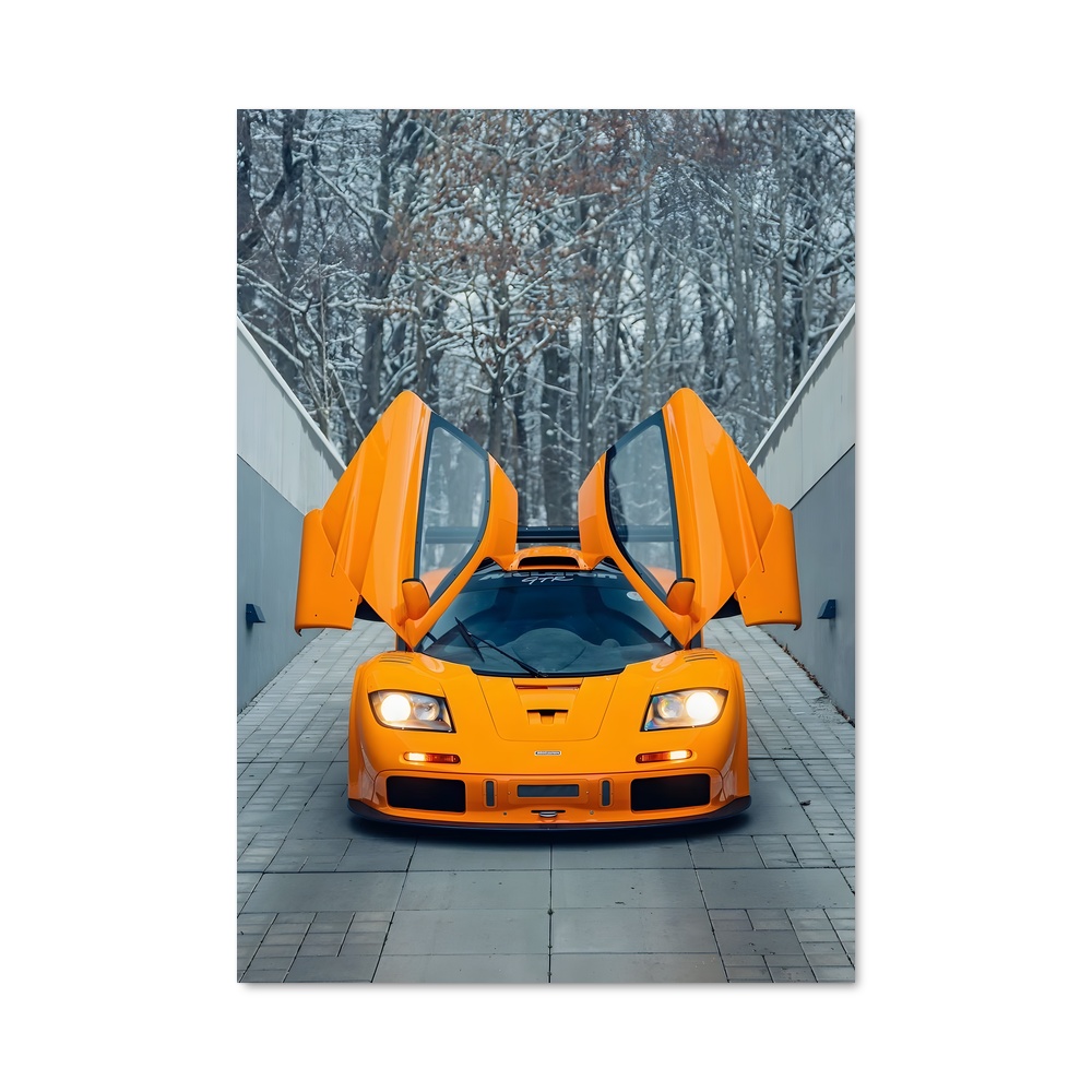 Poster splendide F gtr